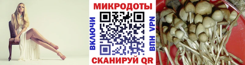 где можно купить Дегтярск Галлюциногенные грибы MAGIC MUSHROOMS